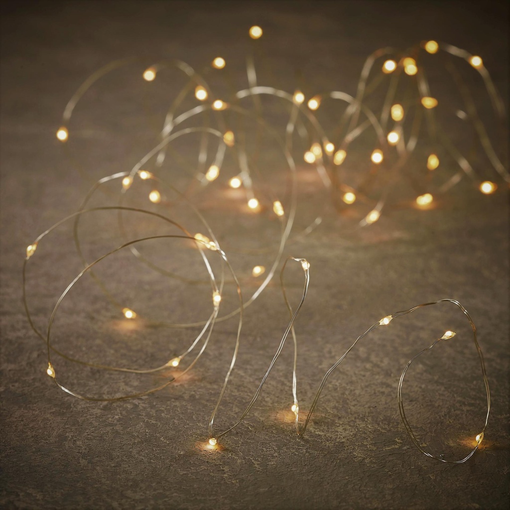 Outdoor String LED Wire P/I 100L Copper - 33'