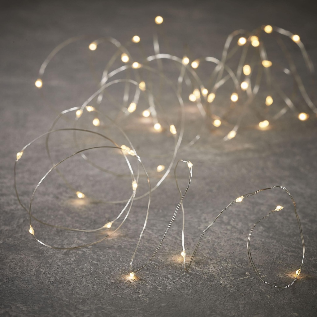 Outdoor String LED Wire P/I 100L Silver - 33'