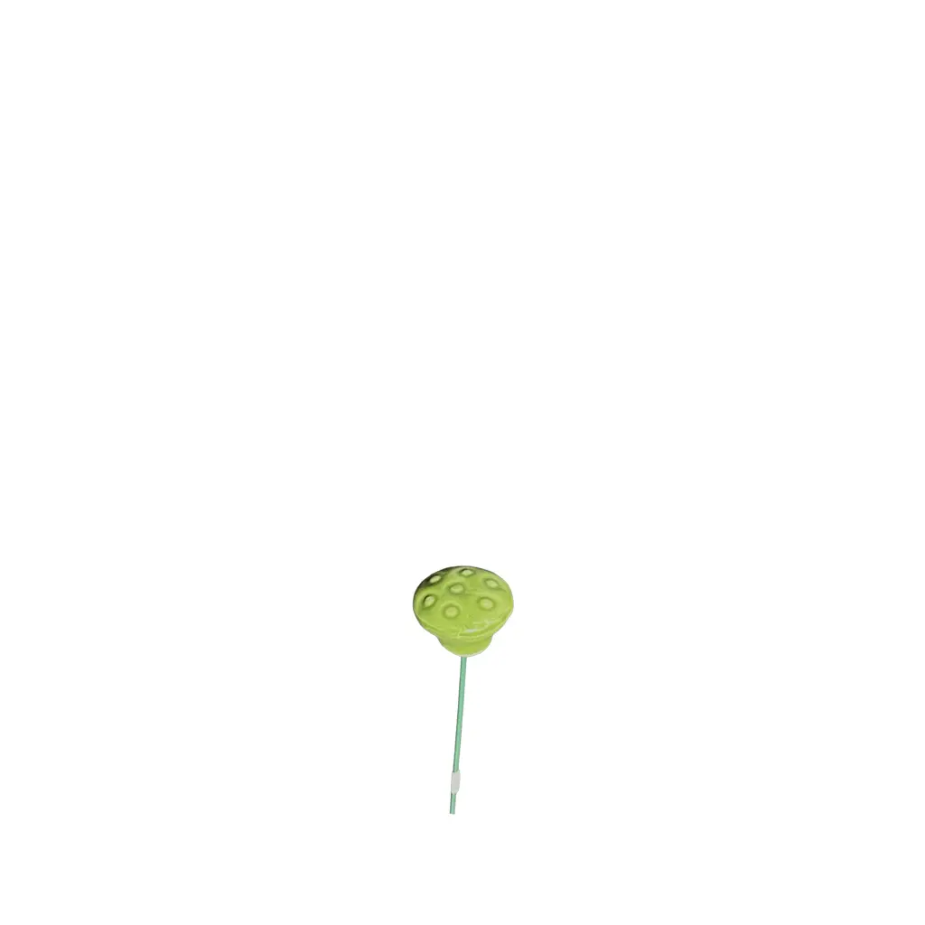 Lotus seed stake green - 0.75x10.75"