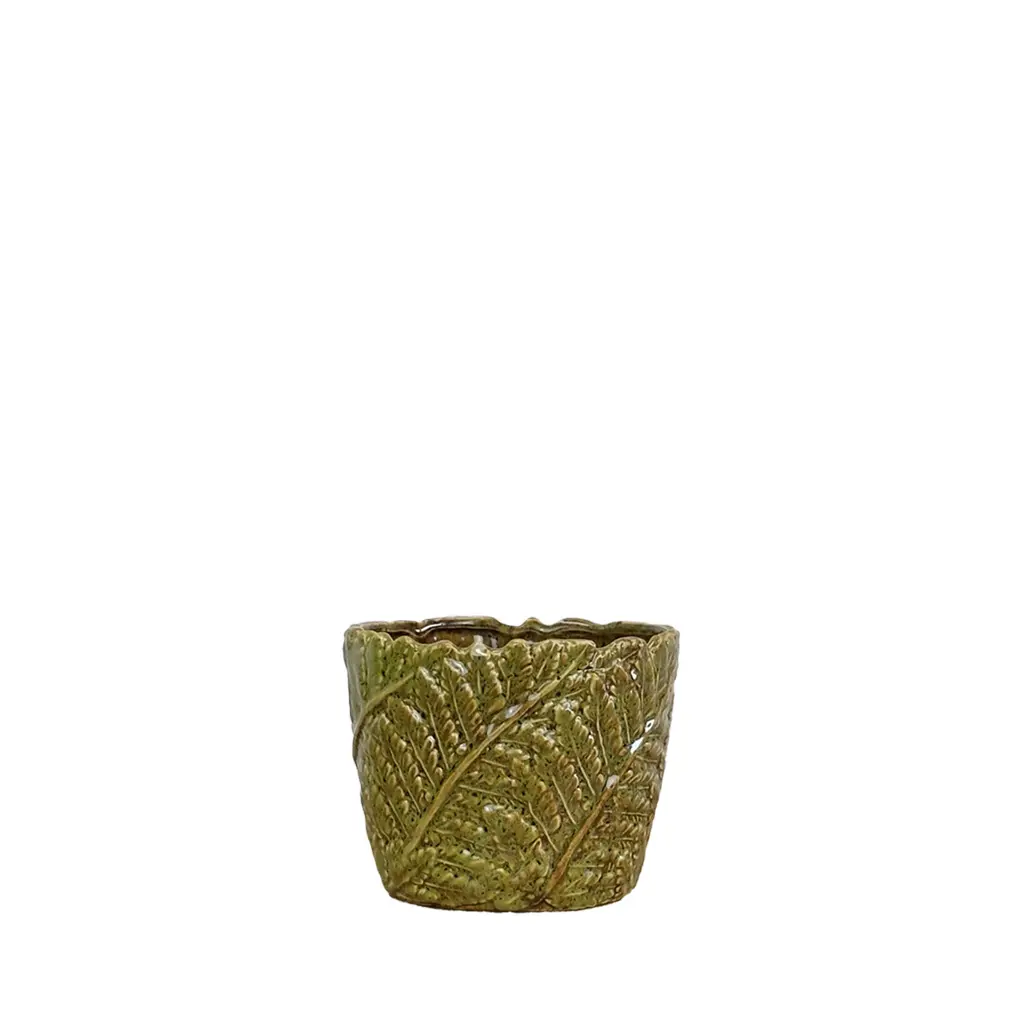 Fern pot round green  - 4.25x3.25"