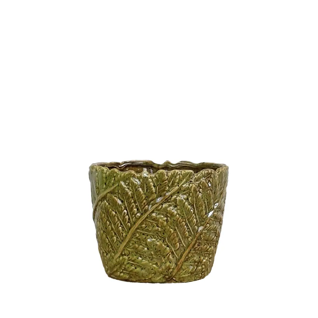 Fern pot round green  - 6x5"