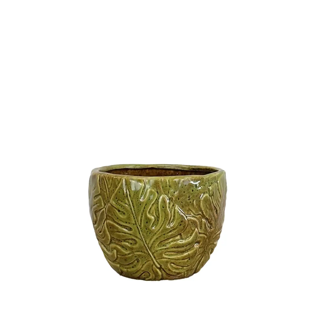 Monstera pot round green - 6x4.25"