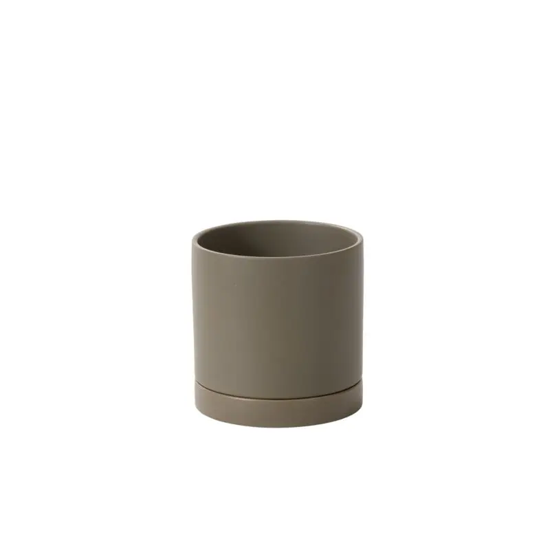 Romey Neutral Pot with Saucer 7"x 7" Moss