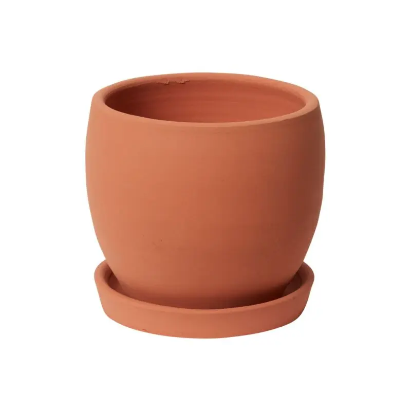 Baden Pot with Saucer 7.25"x 6.75"