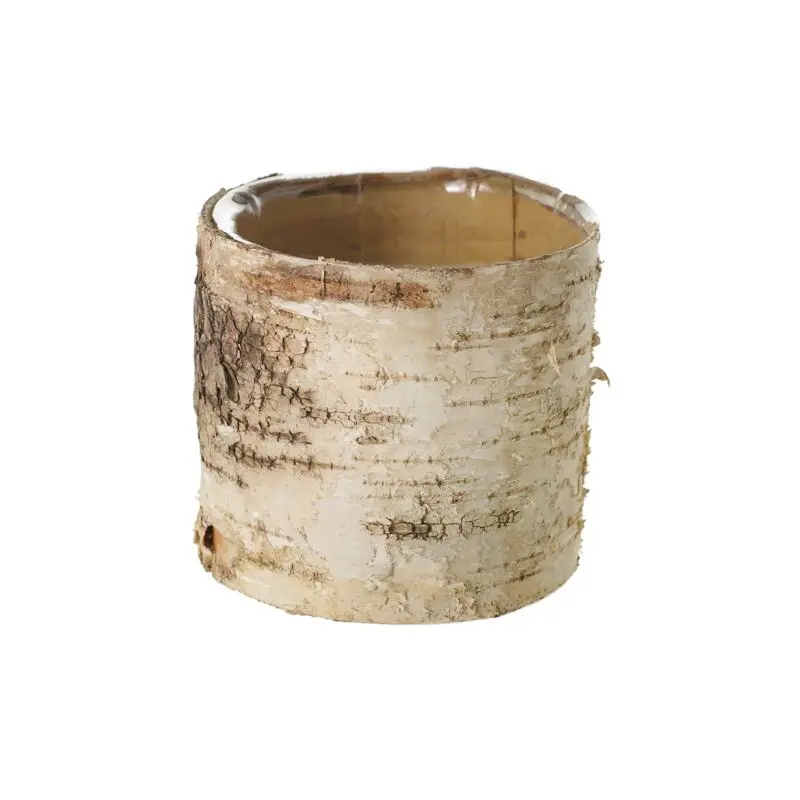Birch Cylinder 4.75"x 4.75"