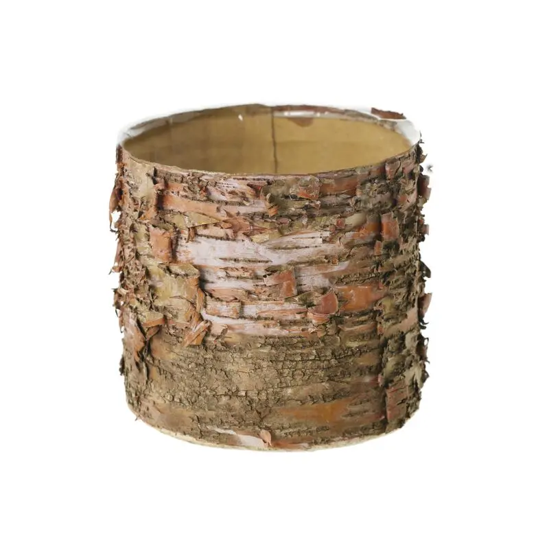 Birch Cylinder 6"x 5.5"