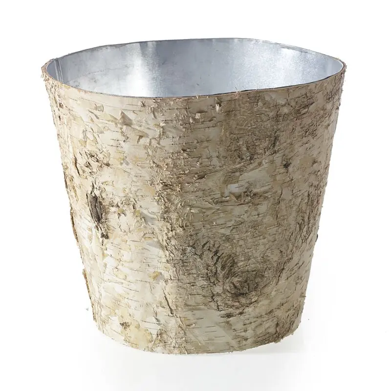 Birch Pot with Zinc 10.5"x 9.75"