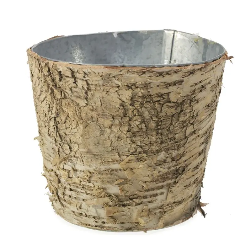 Birch Pot with Zinc 5.5"x 5"