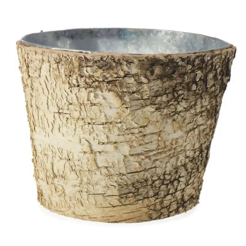 Birch Pot with Zinc 7"x 6"