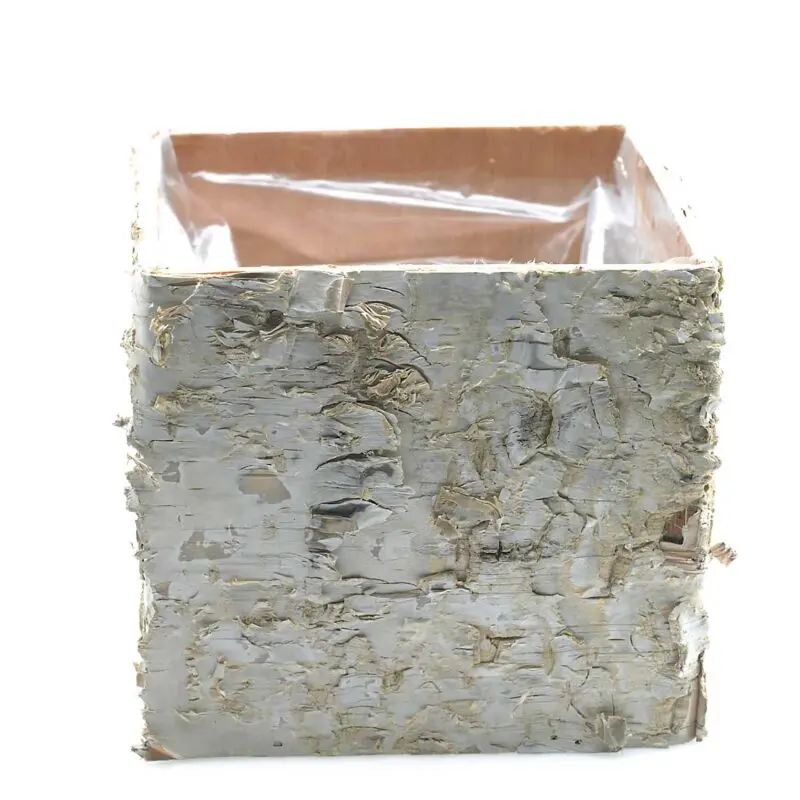 Birch Square Pot 4.75"x 4.75"