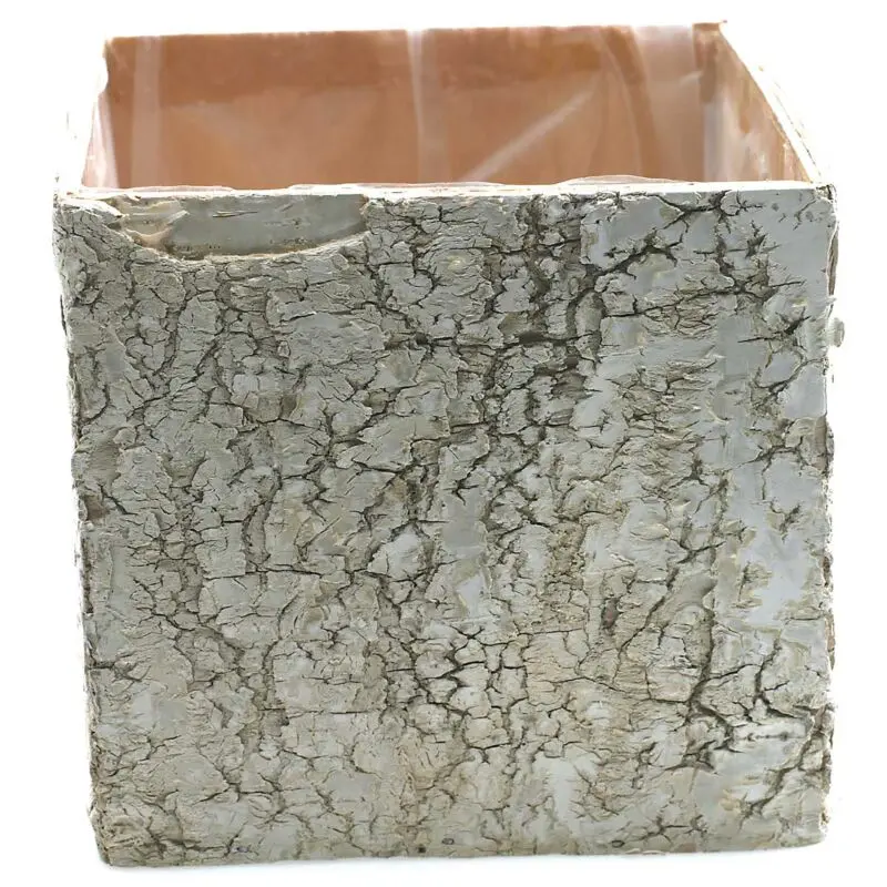 Birch Square Pot 5.5"x 5.5"