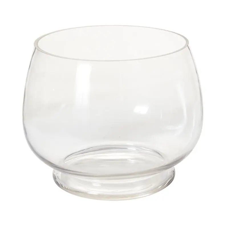 Discovery Terrarium 12"x 9.25"