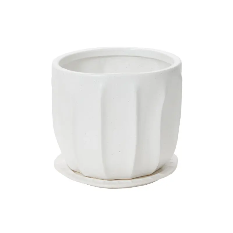 Draken Pot with Saucer 7.5"x 6.25"