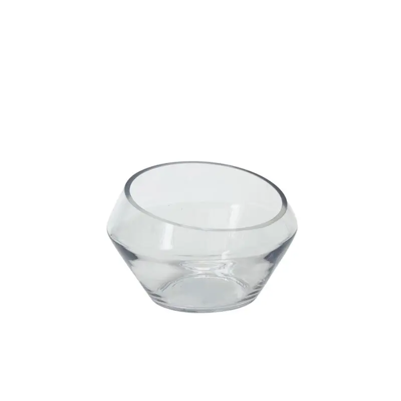 Dynamic Terrarium 9.25"x 6"