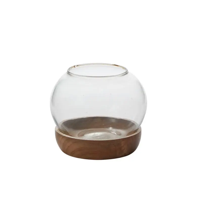 Full View Terrarium 6.5"x 5.5"