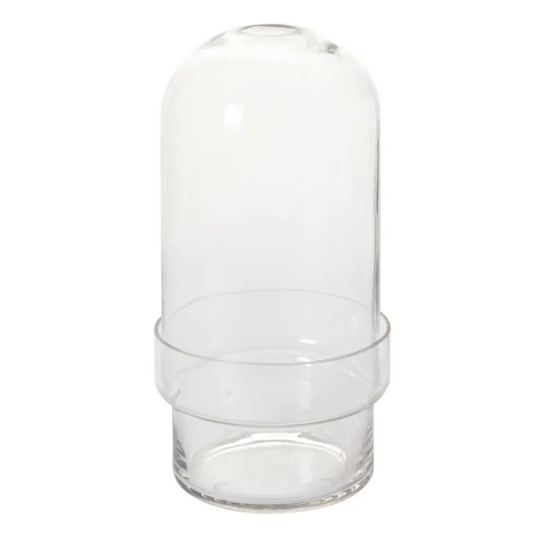 Griffith Terrarium 6.5"x 12.5"