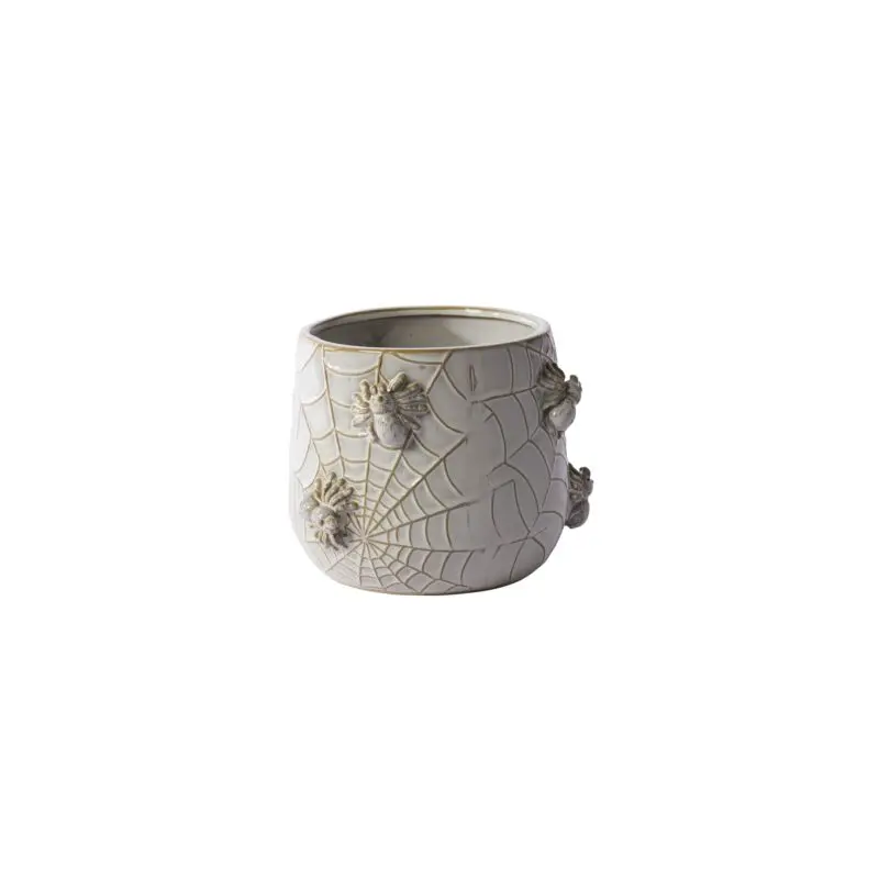 House Spider Pot 6"x 5.25"
