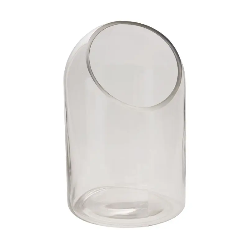 Warner Terrarium 5.75"x 9.25"