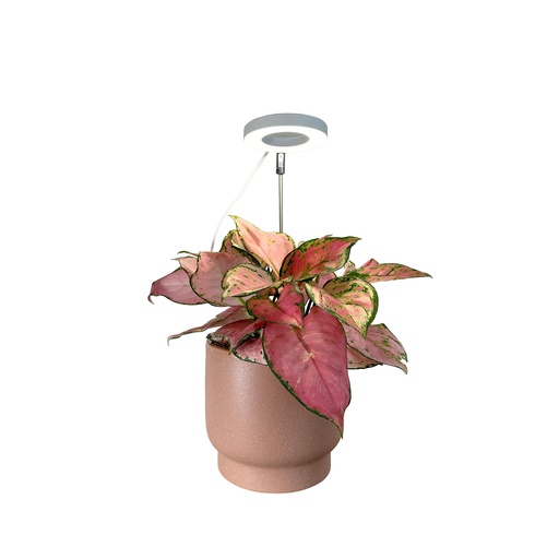 [63658] Plant grow light 20-60cm 