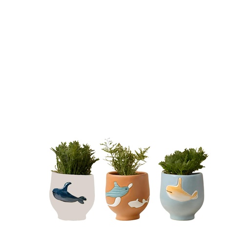 [63990] Fauna pot 3 assorted white brown blue - 4.75x4.5"