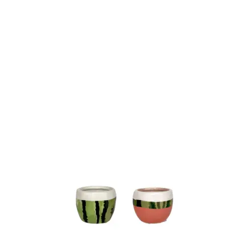 [63997] Watermelon pot round 2 assorted green pink - 3.25x2.5"