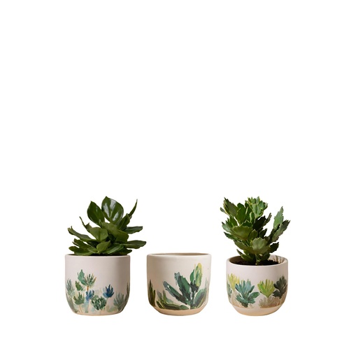 [64015] Mojave pot round 3 assorted white green - 4.5x4"