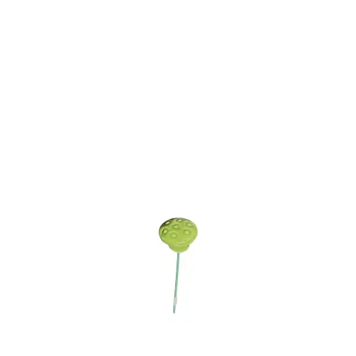 [64599] Lotus seed stake green - 0.75x10.75"