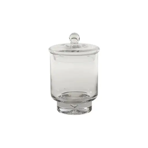 [65416] Asteridge Terrarium 6.75"x 10"