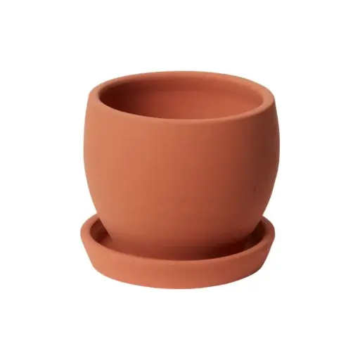[65457] Baden Pot with Saucer 5.5"x 5"