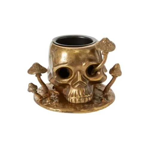 [65756] Cranium Pot 9.5"x 6.5"x 8"