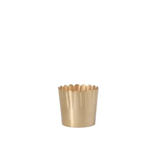 [65787] Delicata Pot 5.5"x 5"