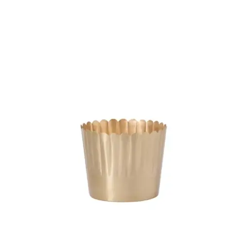 [65788] Delicata Pot 7.5"x 6"