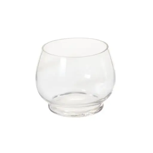 [65809] Discovery Terrarium 7.75"x 6.25"