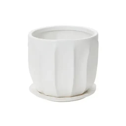 [65825] Draken Pot with Saucer 7.5"x 6.25"
