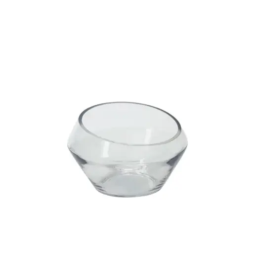 [65831] Dynamic Terrarium 9.25"x 6"