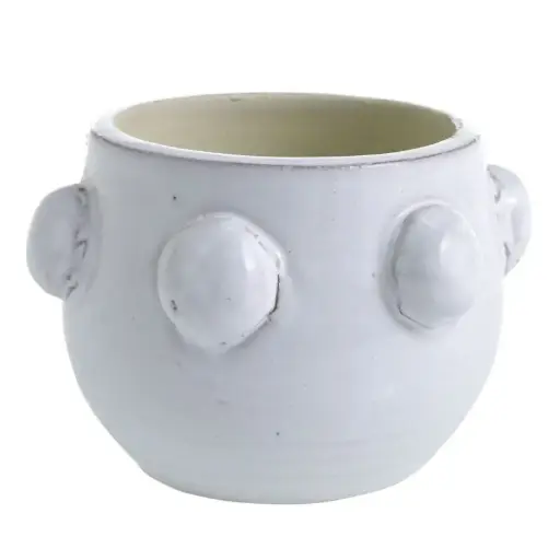 [65996] Fem Rosa Pot 5"x 3.5"