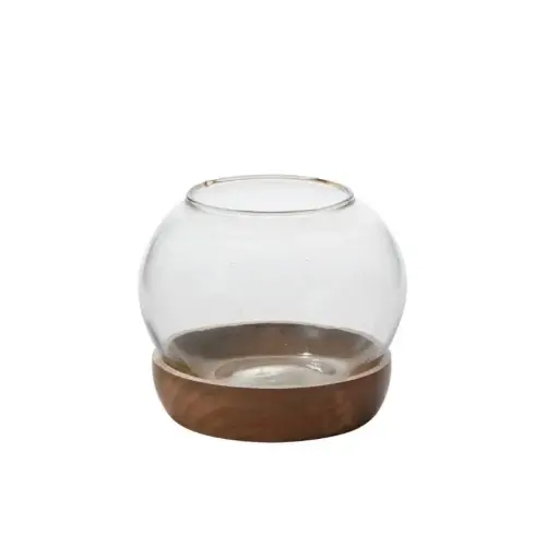[66057] Full View Terrarium 6.5"x 5.5"