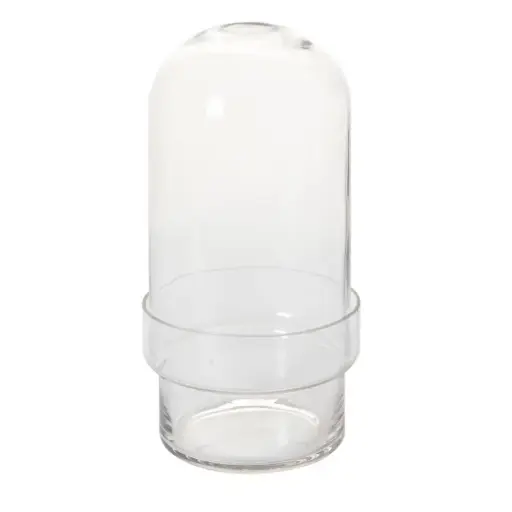 [66156] Griffith Terrarium 6.5"x 12.5"