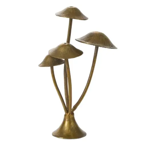 [66415] Maitake Mushroom Forest 13"x 9.5"x 21.5"