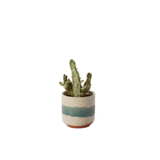 [66431] Mateo Pot 3"x 3"