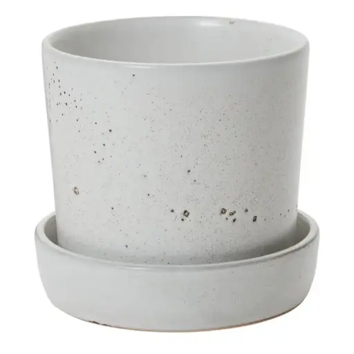 [67129] Watson Pot with Saucer  6.75"x 6.5"