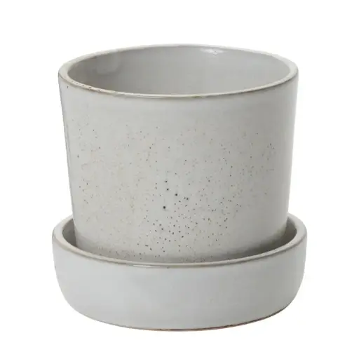 [67131] Watson Pot with Saucer 5.25"x 5"